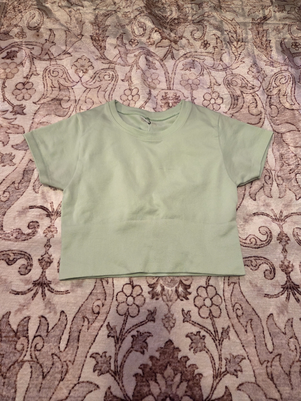 Aerie Mint Green Cropped Short Sleeve Tee